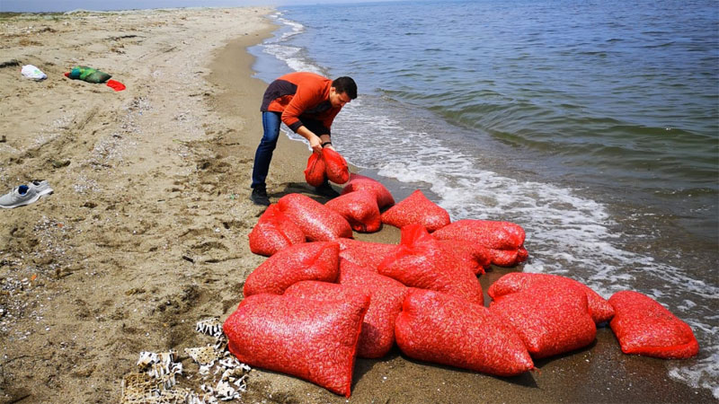 Bursa’da ele geçirildi! Yaklaşık 700 kilo…