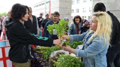 Nilüfer’de balkon tarımı fidelerle yaygınlaşıyor