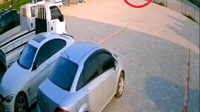 Bursa’da başıboş at böyle kaza yaptı, telef oldu