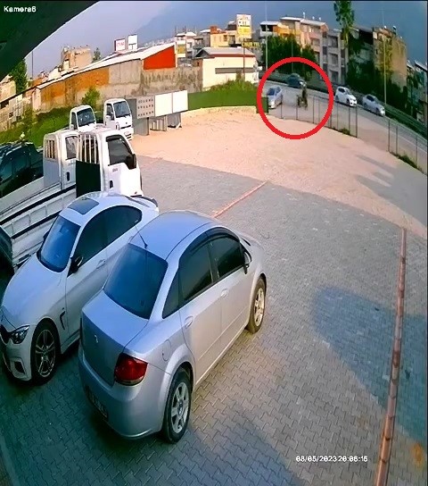 Bursa’da başıboş at böyle kaza yaptı, telef oldu