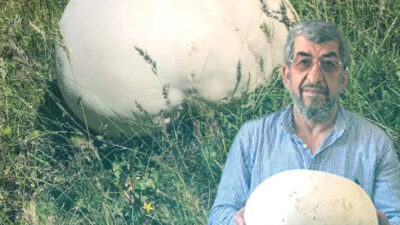 Şaşkınlıklarını gizleyemediler: “İlk defa gördük”