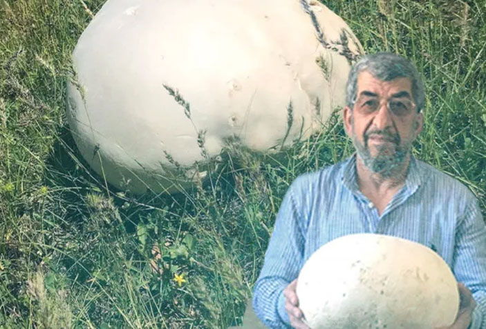 Şaşkınlıklarını gizleyemediler: “İlk defa gördük” Şaşkınlıklarını gizleyemediler: “İlk defa gördük”