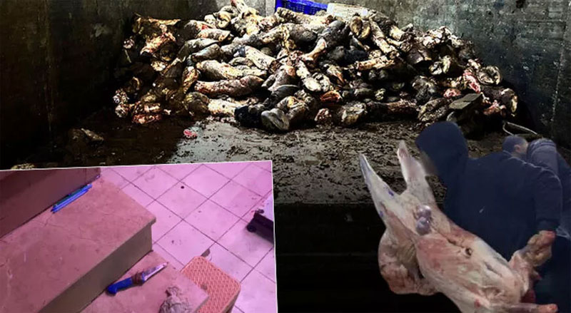 Şoke eden görüntü! ‘Burada çok büyük risk var’