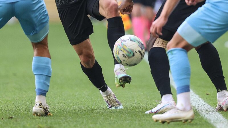 Bursa’yı yeni sezonda futbolda kaç takım temsil edecek? Bursa'yı 2.Lig'de Bursaspor, İnegölspor ve Karacabey Belediyespor, 3.Lig'de ise Bursa