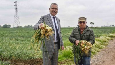 Bursa’da hasat sonrası soğan fiyatı 7 liraya kadar düşecek