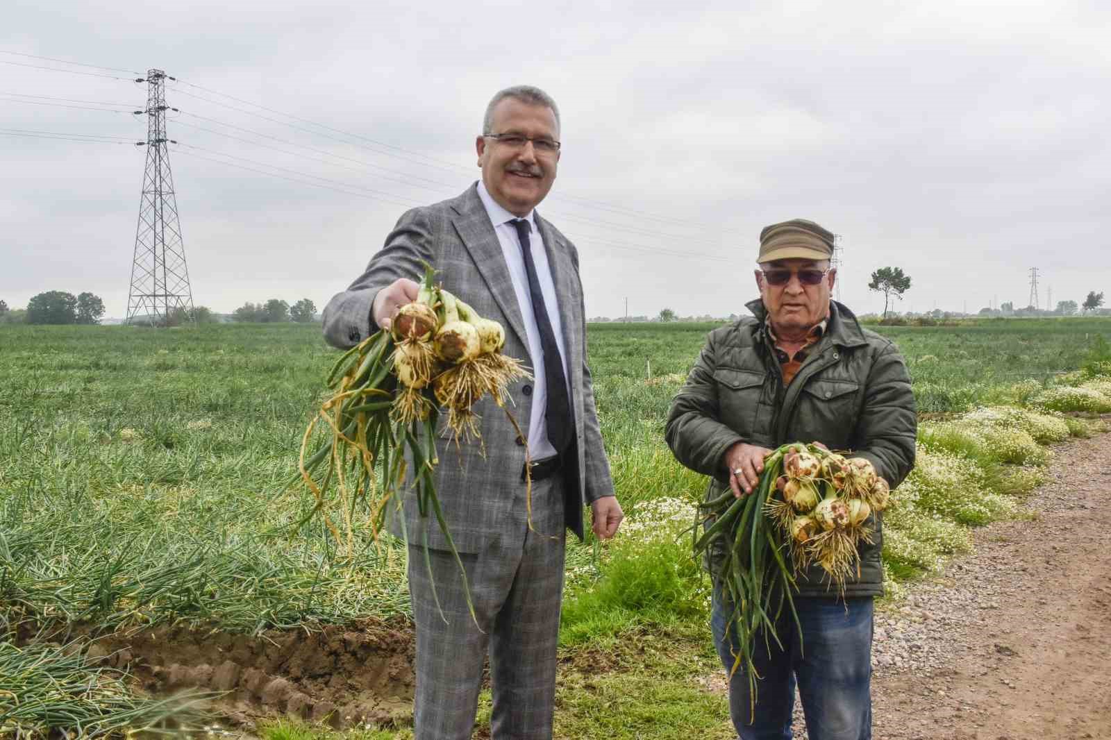 Bursa’da hasat sonrası soğan fiyatı 7 liraya kadar düşecek Bursa’da hasat sonrası soğan fiyatı 7 liraya kadar düşecek