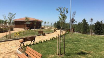 ‘Millet ormanı’ sayısı bu yıl 19’a çıkacak