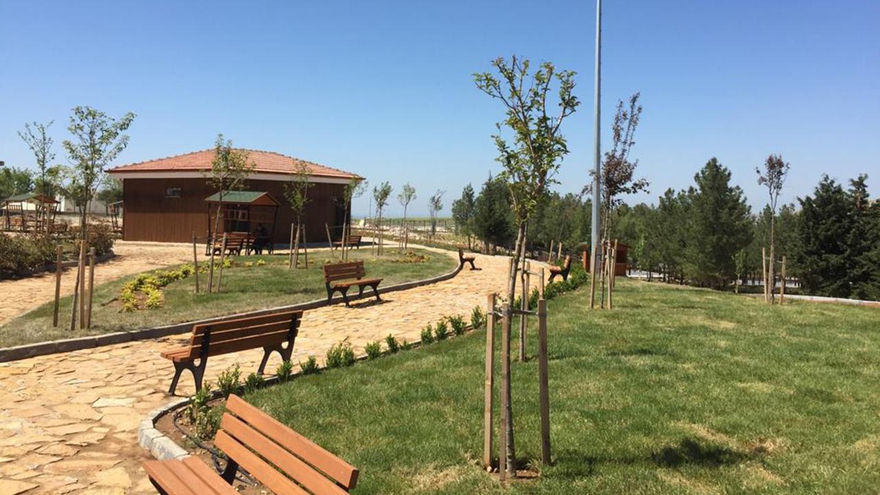 ‘Millet ormanı’ sayısı bu yıl 19’a çıkacak