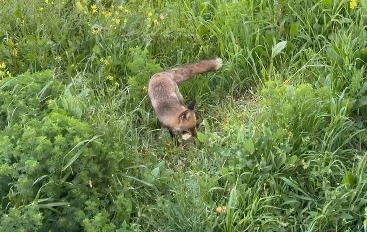 Yer: Bursa… Ekmek yediği yeri unutmuyor