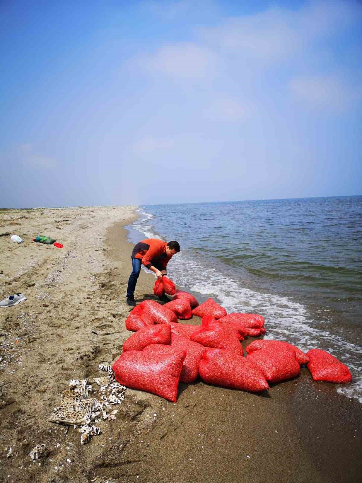 Bursa’nın yasak dönemde midye avcılığı denetimi devam ediyor