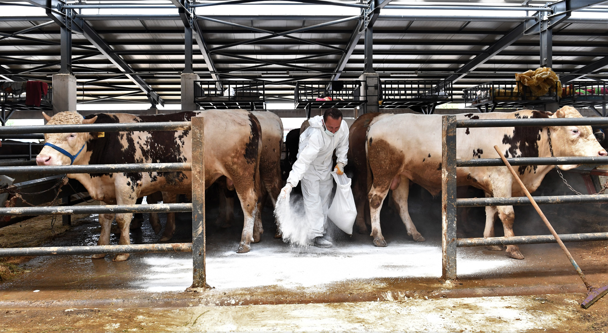 Osmangazi’de kurban pazarlarında sinekle mücadele