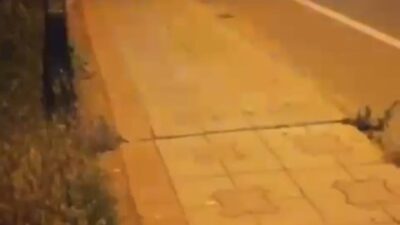 Bursa’da feci ölüm! 10 metrelik köprüden…