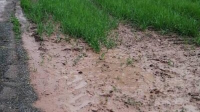 Bursa’nın Harmancık ilçesinde sağanak etkili oldu