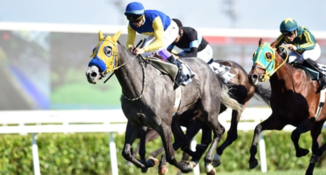 97. Gazi Koşusu’na doğru 97. Gazi Koşusu’na doğru