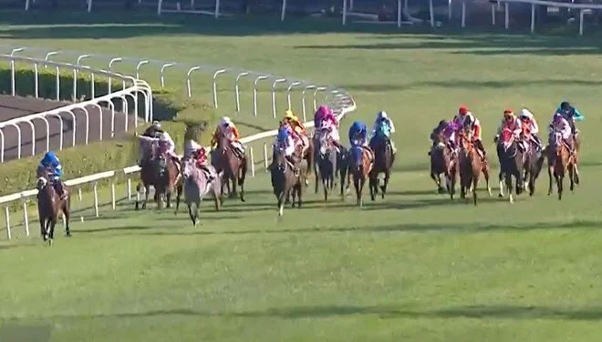 97. Gazi Koşusu’nu Urfa Aslanı kazandı 97. Gazi Koşusu’nu Urfa Aslanı kazandı