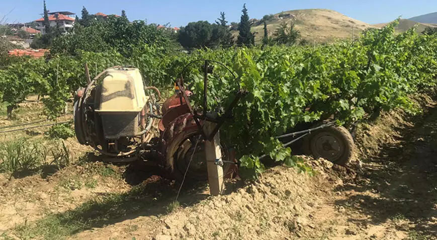 Ağaçtaki kuşu vurmak isterken komşusunu öldürdü