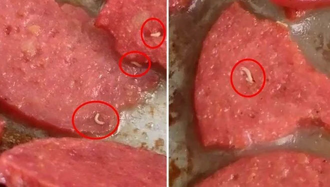 Marketten aldığı sucuğun içinden kurtçuk fışkırdı Marketten aldığı sucuğun içinden kurtçuk fışkırdı