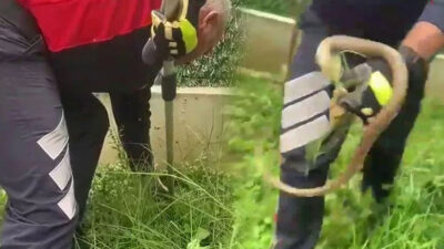 Metrelerce uzunlukta! Evin bahçesinde yılanı görünce dehşeti yaşadı