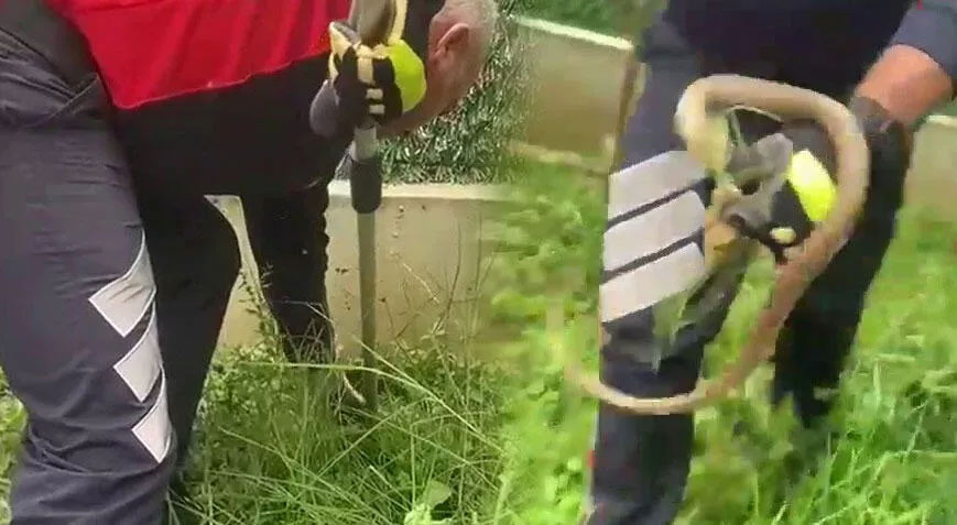 Metrelerce uzunlukta! Evin bahçesinde yılanı görünce dehşeti yaşadı