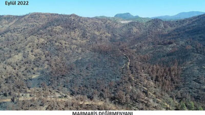 Marmaris’te yangın sonrası yeniden yeşeren alan havadan görüntülendi