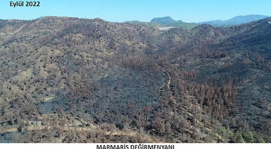 Marmaris’te yangın sonrası yeniden yeşeren alan havadan görüntülendi