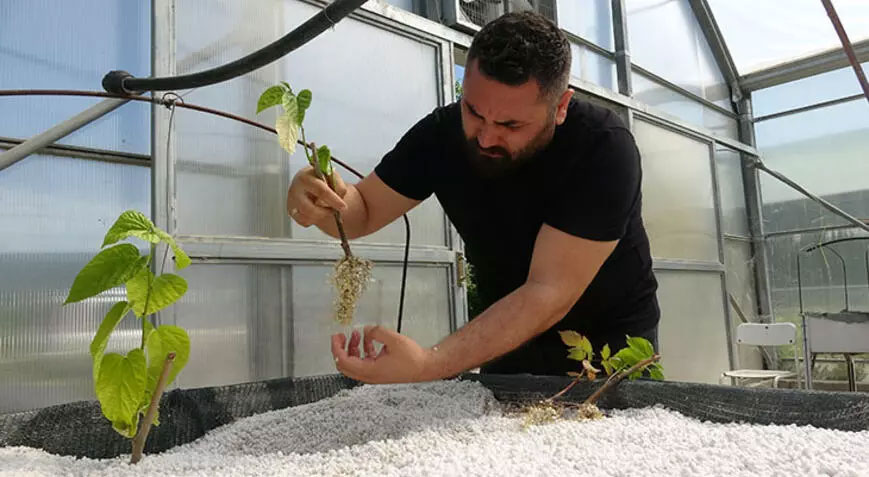 Dünyada ilk kez denendi, çiftçilerden yoğun ilgi gördü