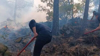 Yıldırım düşmesi sonucu çıkan orman yangını söndürüldü