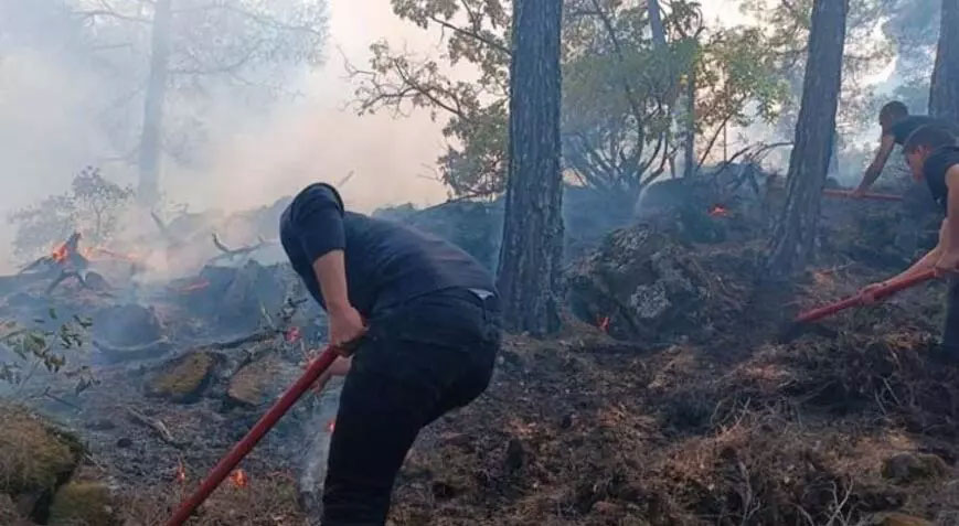 Yıldırım düşmesi sonucu çıkan orman yangını söndürüldü