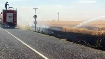 Mardin’de 50 dönüm ekili buğday yandı