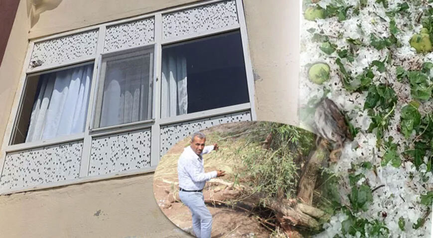 Dolu kabusu! Ağaçlar devrildi, araziler zarar gördü, hayvanlar öldü