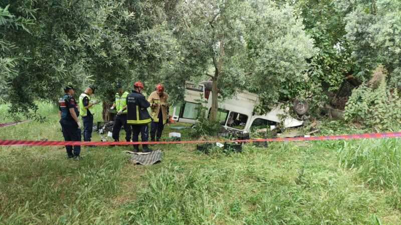 Bursa'nın Orhangazi ilçesinde zeytinliğe devrilen hafif ticari aracın sürücüsü hayatını