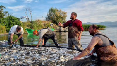 İznik Gölü’nde av sezonu balık bolluğuyla başladı