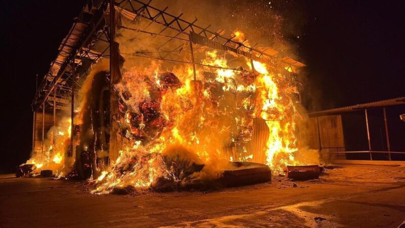 Bursa’da korkutan yangın Bursa’nın Karacabey ilçesinde çıkan çiftlik yangını korku dolu anlara neden