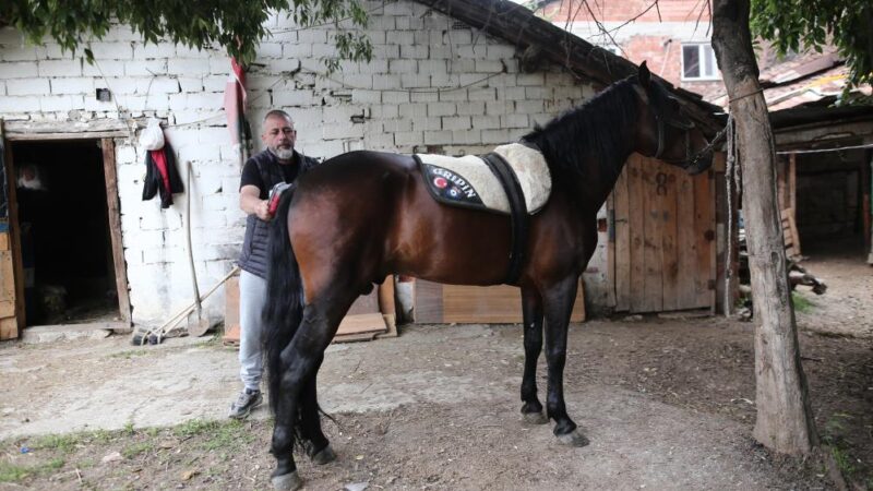 ‘Uludağ’ annesinin karnındayken satıldı Bursa’da rahvan at yarıştıran bir kişi "Uludağ" isimli taya sahip