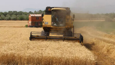 TMO, buğday ve arpa satış fiyatlarını belirledi