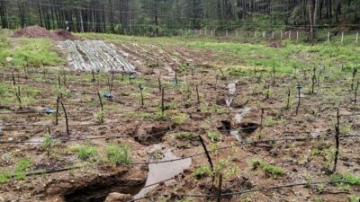Bursa’nın bu ilçesinde durum kötü! Acil destek çağrısı…