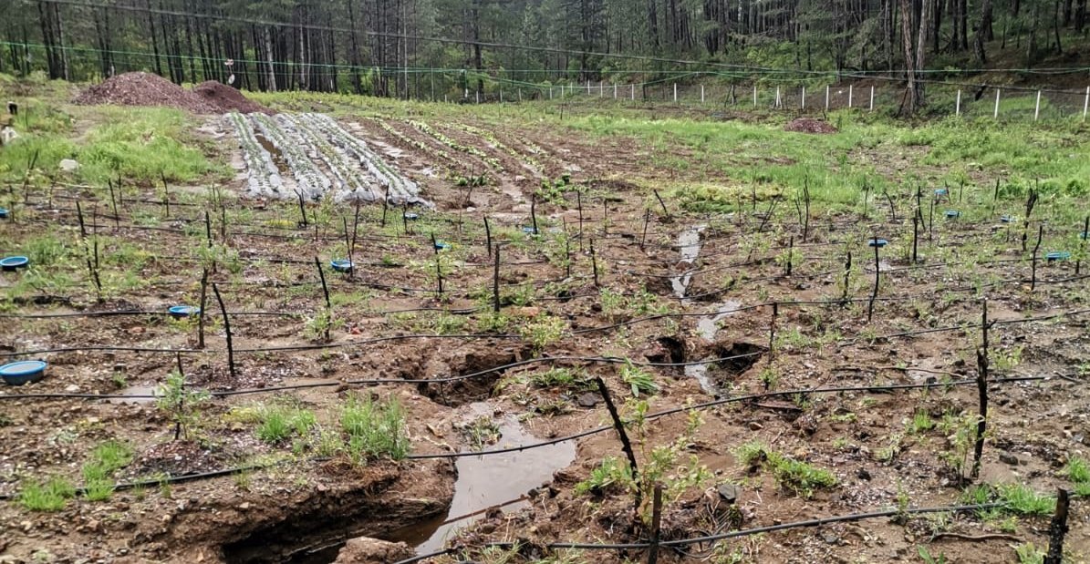 Bursa’nın bu ilçesinde durum kötü! Acil destek çağrısı…