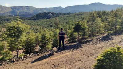 Muğla’da bazı bölgelerde ormanlara giriş yasaklandı