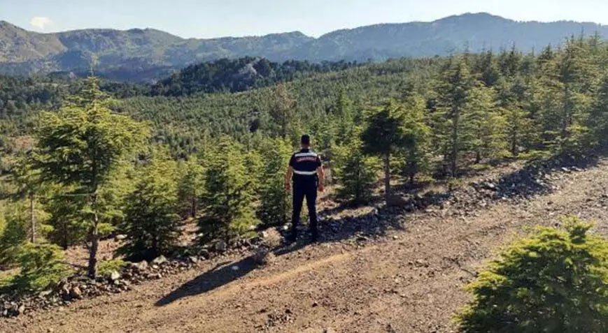 Muğla’da bazı bölgelerde ormanlara giriş yasaklandı
