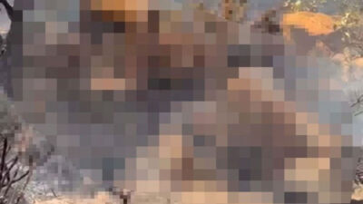 Marmaris’te yanan ormandaki cesedin kimliği belli oldu