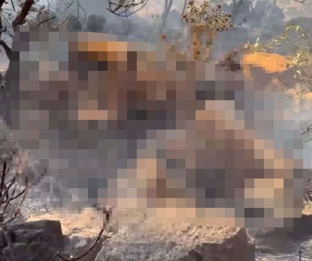 Marmaris’te yanan ormandaki cesedin kimliği belli oldu