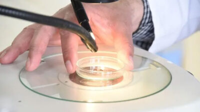 ‘Gölgemizi ve kokumuzu algılıyorlar’ Uzmanlar tehlikeye dikkat çekti! En çok o illerde…