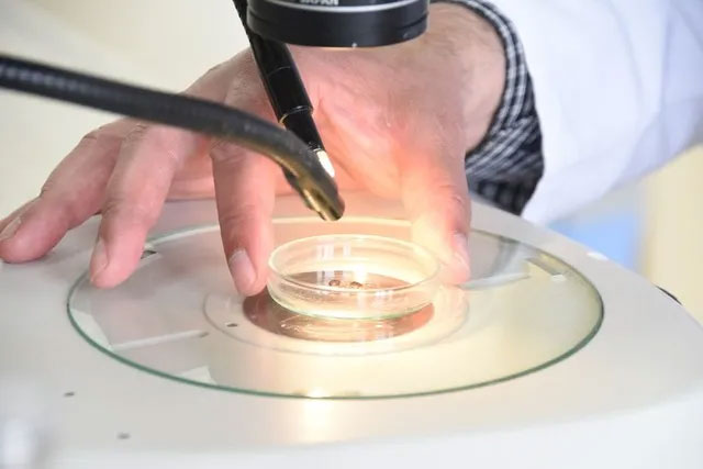 ‘Gölgemizi ve kokumuzu algılıyorlar’ Uzmanlar tehlikeye dikkat çekti! En çok o illerde… ‘Gölgemizi ve kokumuzu algılıyorlar’ Uzmanlar tehlikeye dikkat çekti! En çok o illerde…