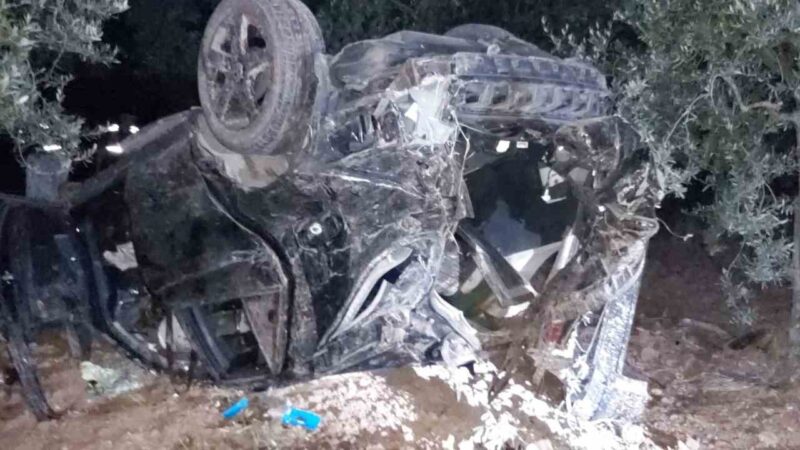 Bursa’da otomobil zeytinliğe daldı: 1 ağır yaralı İngiliz vatandaşı sürücünün direksiyon hakimiyetini kaybetmesiyle zeytinlik içine giren araç