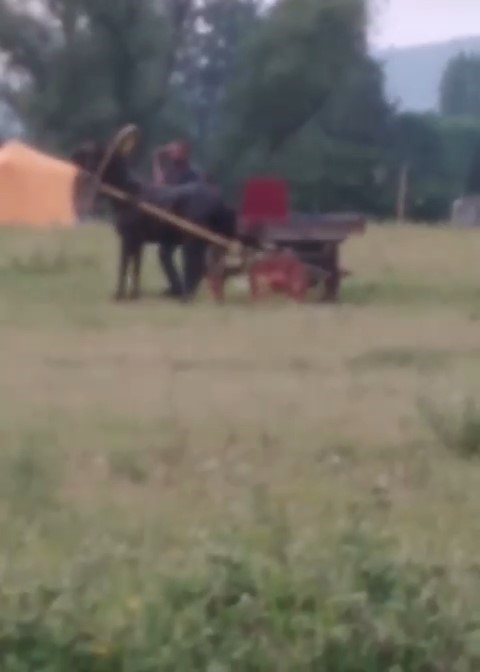 Bursa’da yürekleri sızlatan görüntü…Kendisini çeken ata böyle işkence yaptı Bursa’da yürekleri sızlatan görüntü…Kendisini çeken ata böyle işkence yaptı