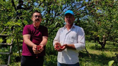 Bursa’dan Avrupa’ya kiraz ihracatı!