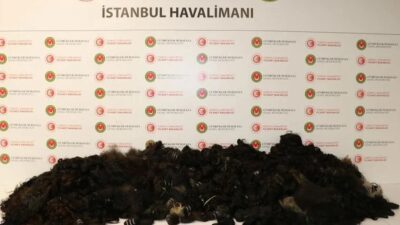 İstanbul Havalimanı’nda 93 kilo insan saçı ele geçirildi