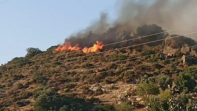 Datça’da ormanlık alanda yangın!