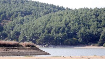 Valilik duyurdu! 15 Ekim’e kadar yasaklandı
