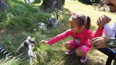 Çocukların bayramı Bursa Hayvanat Bahçesi’nde